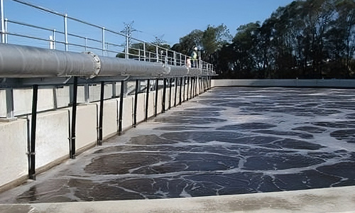 Poultry enterprise saving water